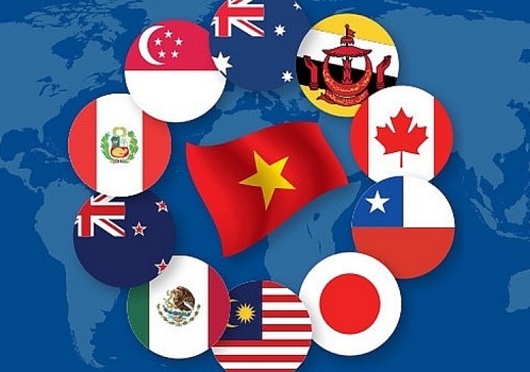 CPTPP – Vấn đề hải quan đối với Việt Nam